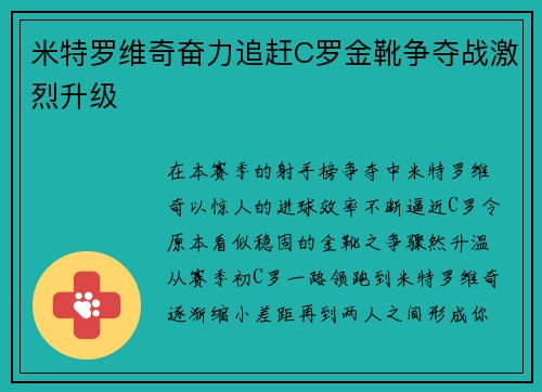 米特罗维奇奋力追赶C罗金靴争夺战激烈升级 米特罗维奇奋力追赶C罗金靴争夺战激烈升级