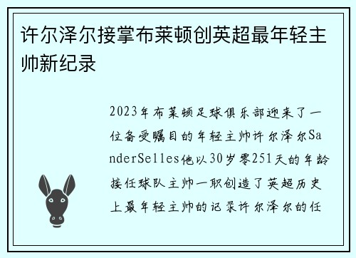 许尔泽尔接掌布莱顿创英超最年轻主帅新纪录